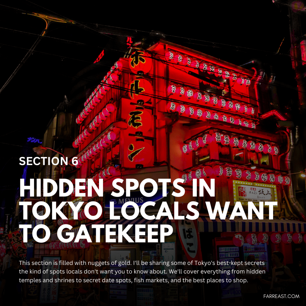 Insider's Japan Travel Guide: 100+ Local Secrets That Eliminate Stress & Save $1000+