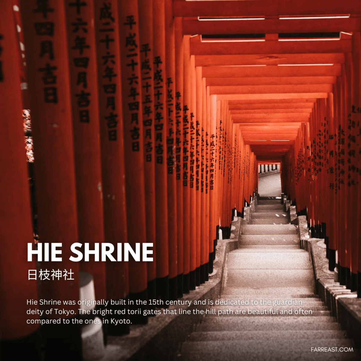 The Ultimate Japan Travel Guide Bundle